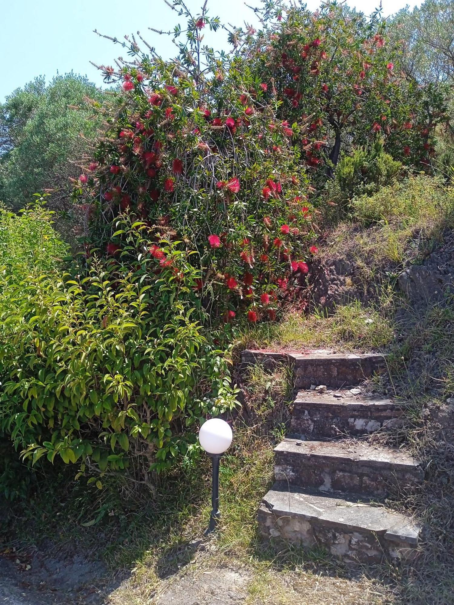 נאה רודה Villa Butterfly מראה חיצוני תמונה